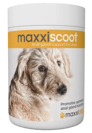 maxxiscoot