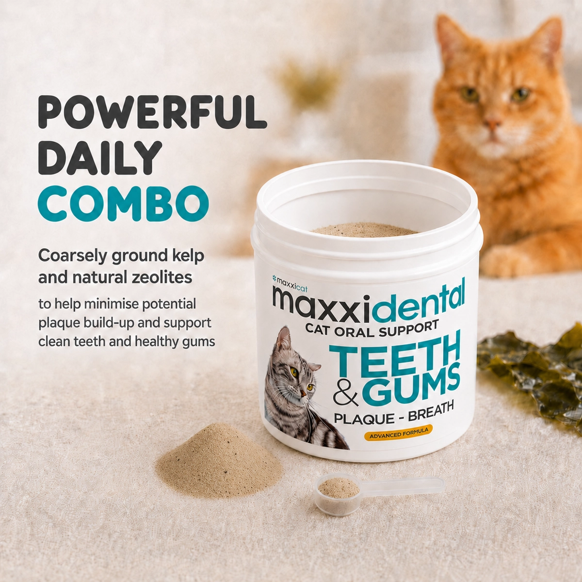 maxxidental kelp and natural zeolites for cats oral health