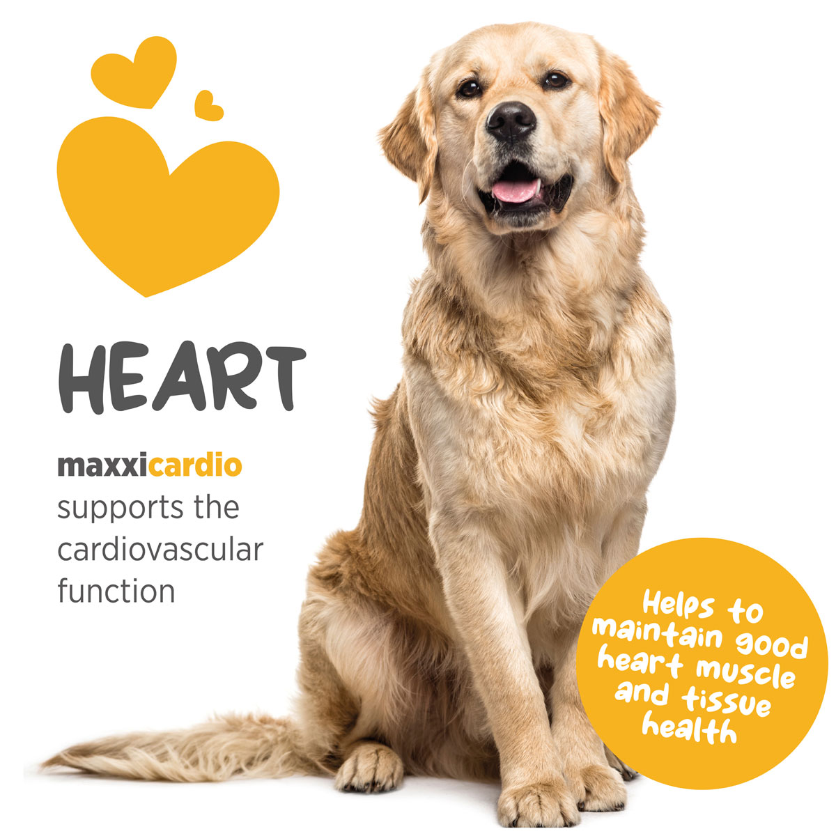 maxxicardio-cardiovascular-heart-support-for-dogs