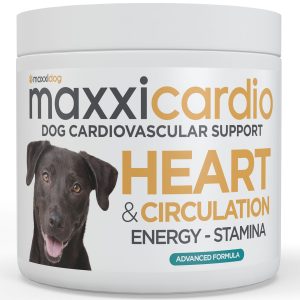 maxxicardio