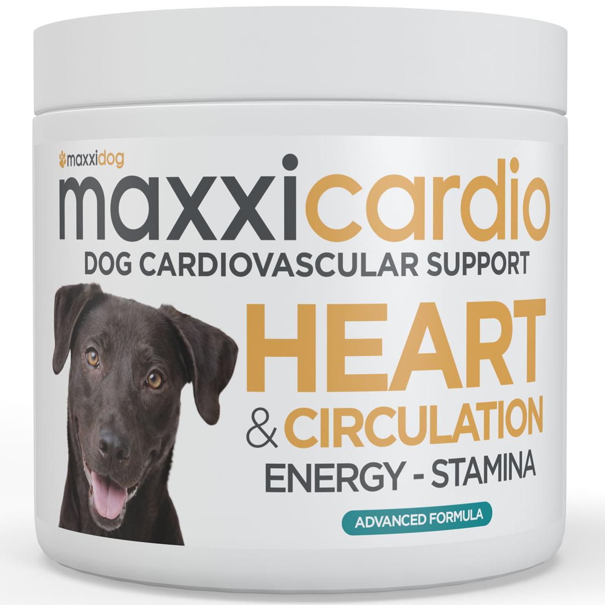 maxxicardio-heart-support-for-dogs