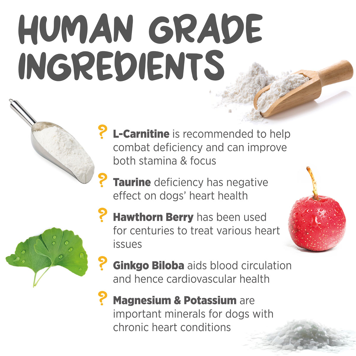 maxxicardio-ingredients-for-dogs-heart-support