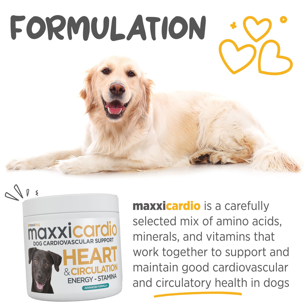 maxxicardio-premium-heart-support-for-dogs-from-maxxipaws